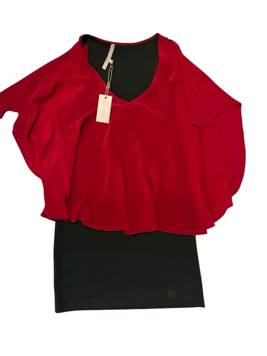 Hutch Dresses & Skirts - Hutch Red Overlay Top with Black Dress